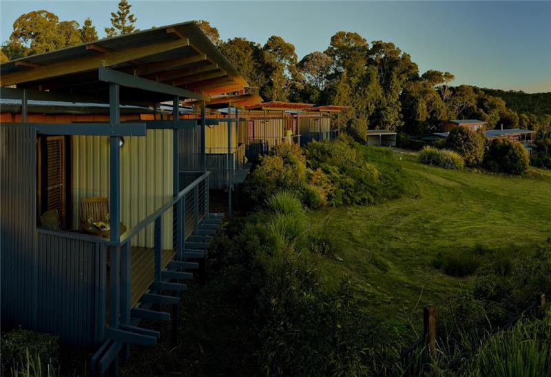 Ramble in the Rainforest Implant Retreat